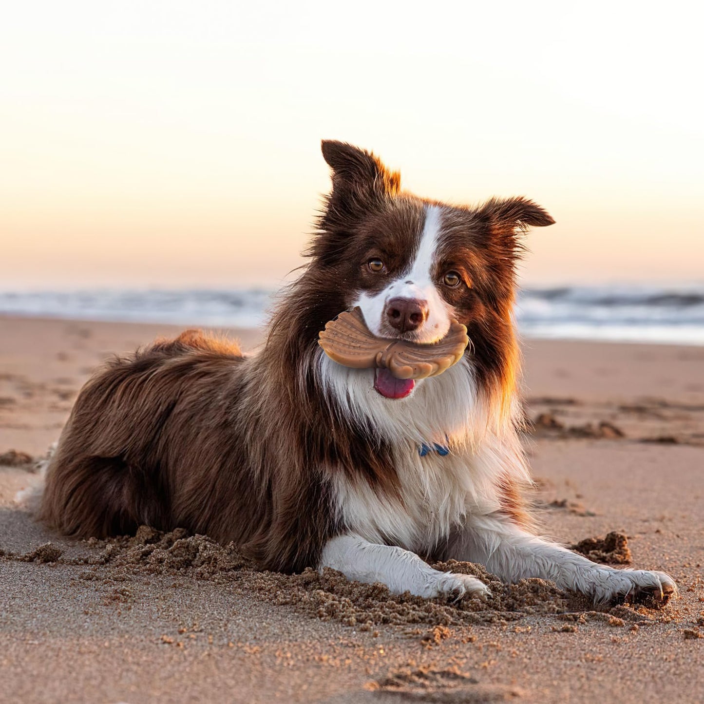 Jouets pour chiens agressifs, jouets indestructibles pour grands chiens, jouets à mâcher pour chiens de toutes races, lot de 3 super jouets à mâcher en nylon résistant, cadeau pour chiens