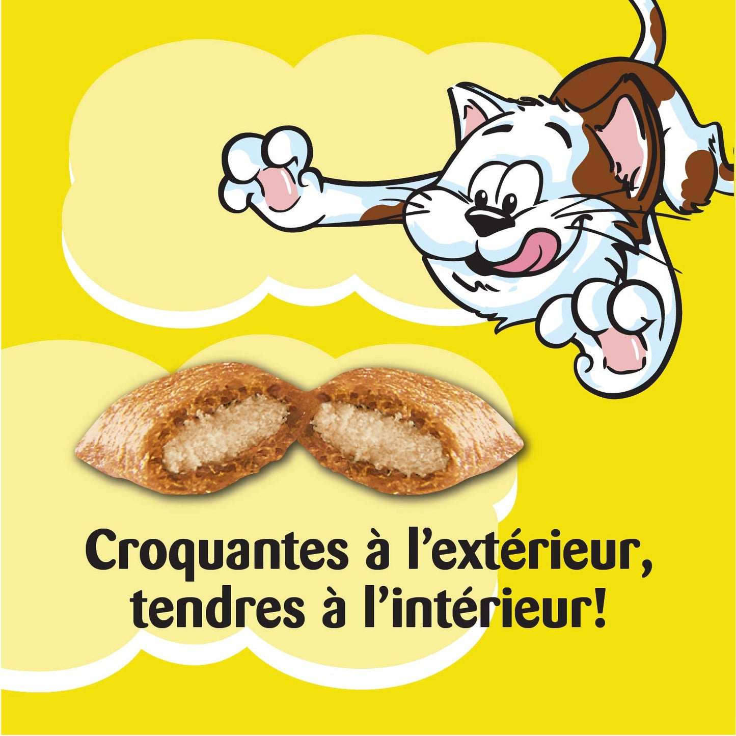 TEMPTATIONS Mix-Ups Adult Cat Treats, Catnip (Chicken, Catnip & Cheddar Flavour), 454g Tub