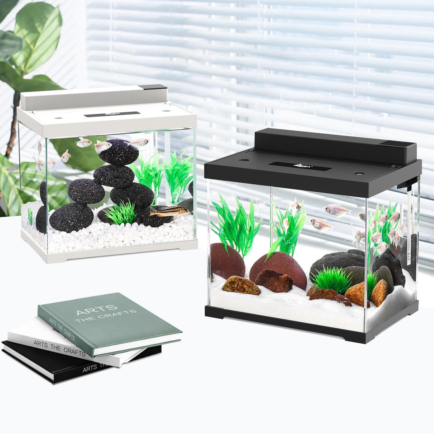 Petit aquarium en verre AQQA, kit de démarrage autonettoyant de 2,4 gallons, contrôleur externe USB, éclairage réglable 4 couleurs, système de filtration supérieur à commande individuelle (noir)