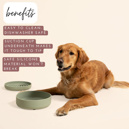 Gamelle anti-fuite pour chien - Silicone de qualité supérieure, anti-fuite, avec ventouse, anti-fuite, gamelles pour chien de taille moyenne, gamelle pour chat (gris charbon, grande gamelle)