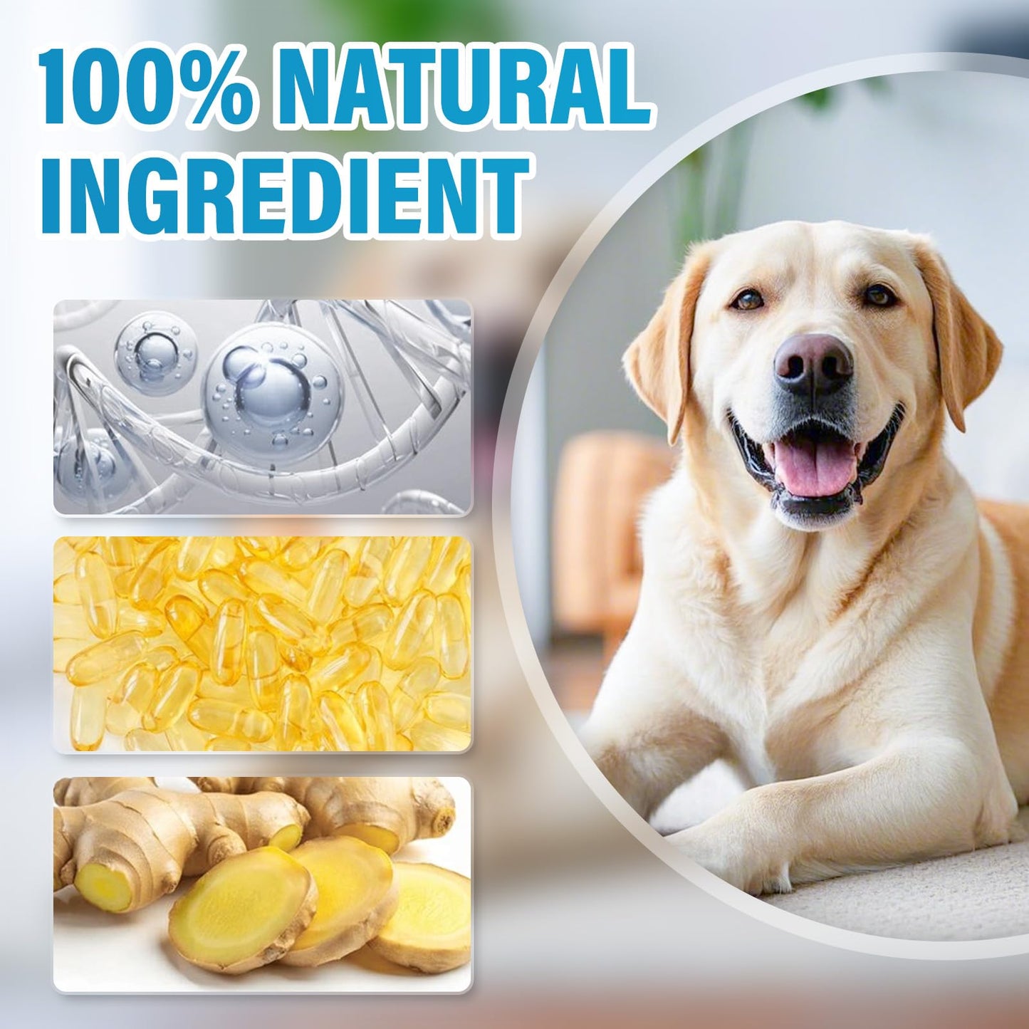 Liquid Collagen for Dogs, Dog Collagen Supplement Drop Support Joint, Digestive Health, Collagen for Dogs Liquid Support Shiny Coat & Healthy Skin, Enhancing Immunity, GMO & Gluten Free