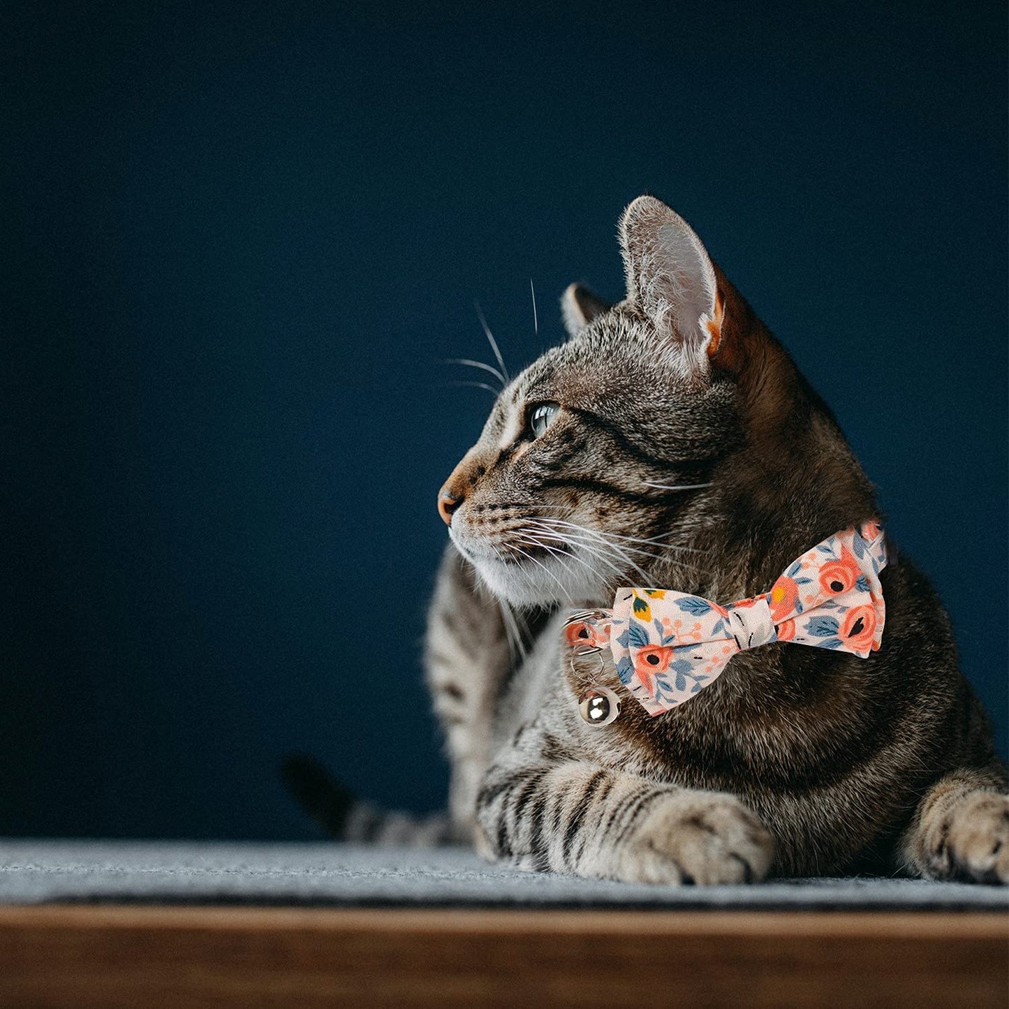 Kettion 2Pcs Breakaway Cat Collar with Bow Tie Bandana, Kitten Collar, Removable Bowtie Bandana, Cute Flower Pattern with Bell for Cat Puppy, Soft Adjustable Collar for Dogs and Cats Pets