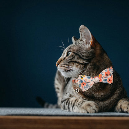 Kettion 2Pcs Breakaway Cat Collar with Bow Tie Bandana, Kitten Collar, Removable Bowtie Bandana, Cute Flower Pattern with Bell for Cat Puppy, Soft Adjustable Collar for Dogs and Cats Pets