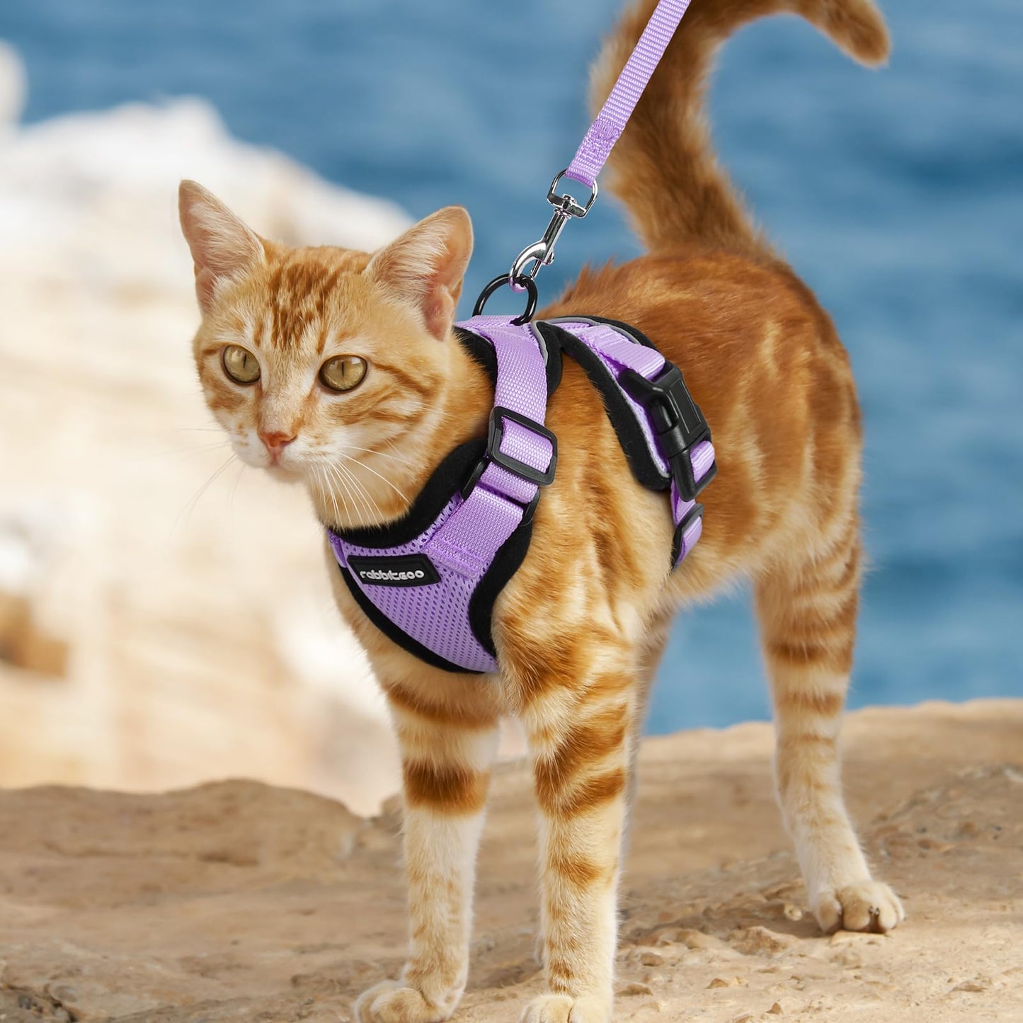 rabbitgoo Cat Harness and Leash for Walking, Escape Proof Soft Adjustable Vest Harnesses for Small Medium Cats, Easy Control Breathable Reflective Strips Jacket, XXS, Light Purple