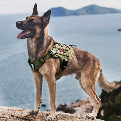 OneTigris Tactical Dog Harness,FIRE Watcher 2.0 No-Pull Dog Harness Vest with Hook & Loop Panels, Military Dog Harness Adjustable Dog Vest Harness for Walking Hiking Training (Ranger Green,Small)