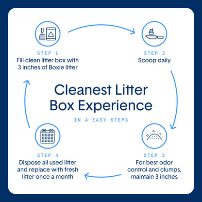 Litière agglomérante Boxie® Probiotic pour chats et chatons, contrôle des odeurs pendant 40 jours, 7,3 kg, 99,9 % sans poussière, autonettoyante, longue durée, approuvée par les vétérinaires, facile à ramasser pour tous les bacs à litière