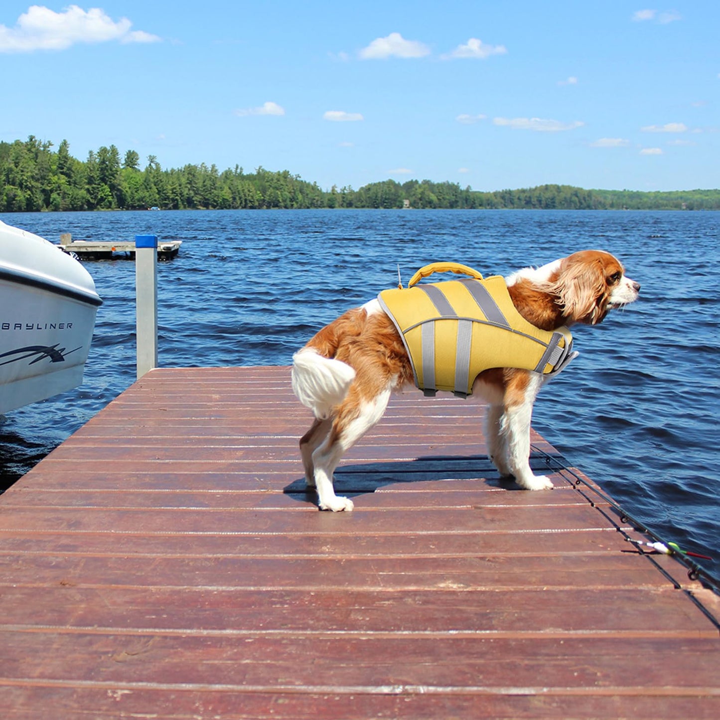 Kuoser Dog Life Jacket with Reflective Stripes, Adjustable High Visibility Dog Life Vest Ripstop Dog Lifesaver Pet Life Preserver with High Flotation Swimsuit for Small Medium and Large Dogs
