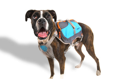 Sac à dos Cesar Millan™ - Sac à dos pour chien Dog Whisperer - Sac à dos bien rembourré pour chiens - Sac à dos de randonnée durable pour chien (moyen)