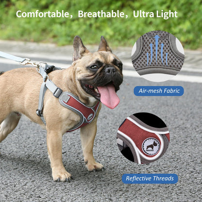 SAEGYPET Dog Harness with Leash Set, No Pull Adjustable Step in with Breathable Padded Puppy Harness for Small Medium Large Dogs Training and Running (Red, M)