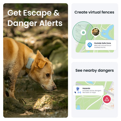 Tractive GPS Dog Tracker (2025 Release) | Real-time Pet Location Tracker | Health & Wellness Alerts | Virtual Fence for Dogs | Bark Monitoring (Mint)