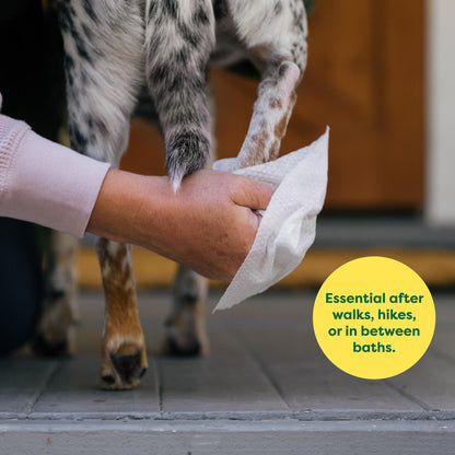 Lingettes de toilettage pour chiens et chats Earth Rated (entreprise canadienne), hypoallergéniques, nettoyantes et hydratantes, pour les pattes, le corps et les fesses, sans parfum, 100 unités