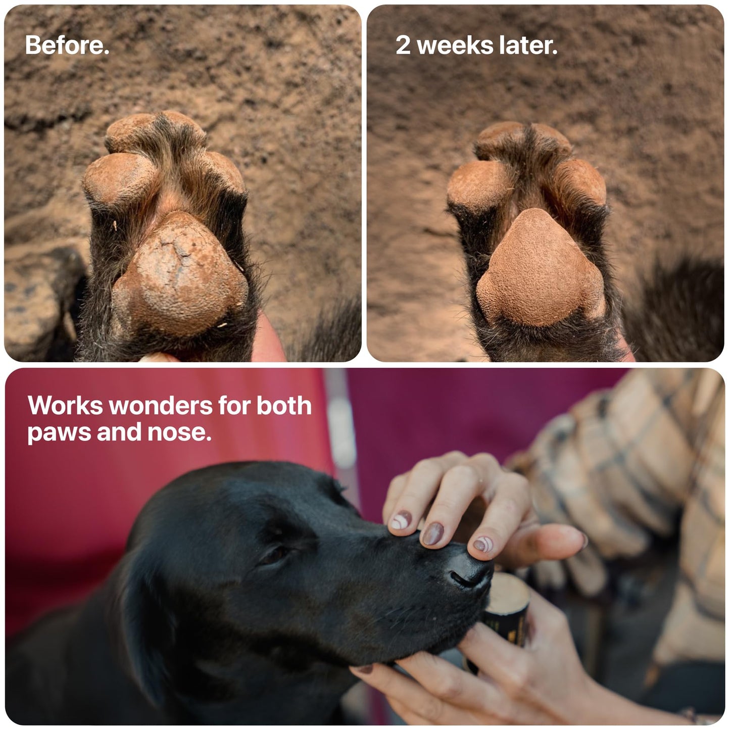 (Entreprise canadienne) Baume pour pattes de chien Säker pour l'hiver | Fabriqué au Canada | Protection des pattes pour chiens approuvée par les vétérinaires pour la neige froide | Baume apaisant pour pattes sèches, crevassées et rugueuses (57 g)