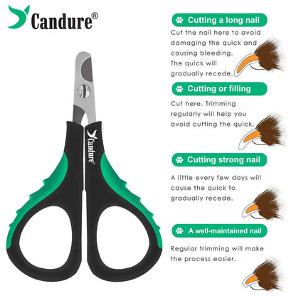 Coupe-griffes pour chat Candure en acier inoxydable pour lapins, cochons d'Inde, oiseaux, chiots, chatons et petits animaux - Coupe-griffes pour animaux de compagnie pour usage professionnel et domestique (noir)