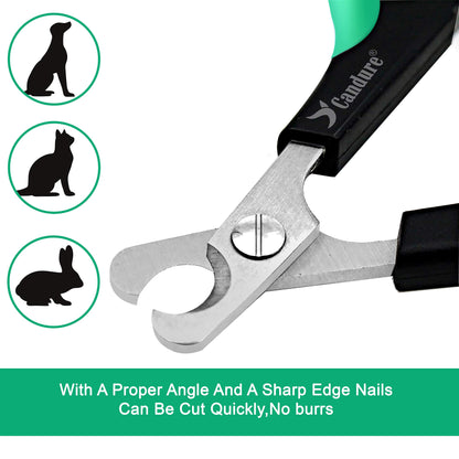 Coupe-griffes pour chat Candure en acier inoxydable pour lapins, cochons d'Inde, oiseaux, chiots, chatons et petits animaux - Coupe-griffes pour animaux de compagnie pour usage professionnel et domestique (noir)