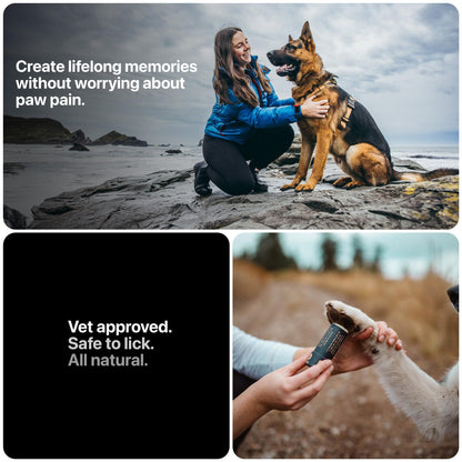 (Entreprise canadienne) Baume pour pattes de chien Säker pour l'hiver | Fabriqué au Canada | Protection des pattes pour chiens approuvée par les vétérinaires pour la neige froide | Baume apaisant pour pattes sèches, crevassées et rugueuses (57 g)