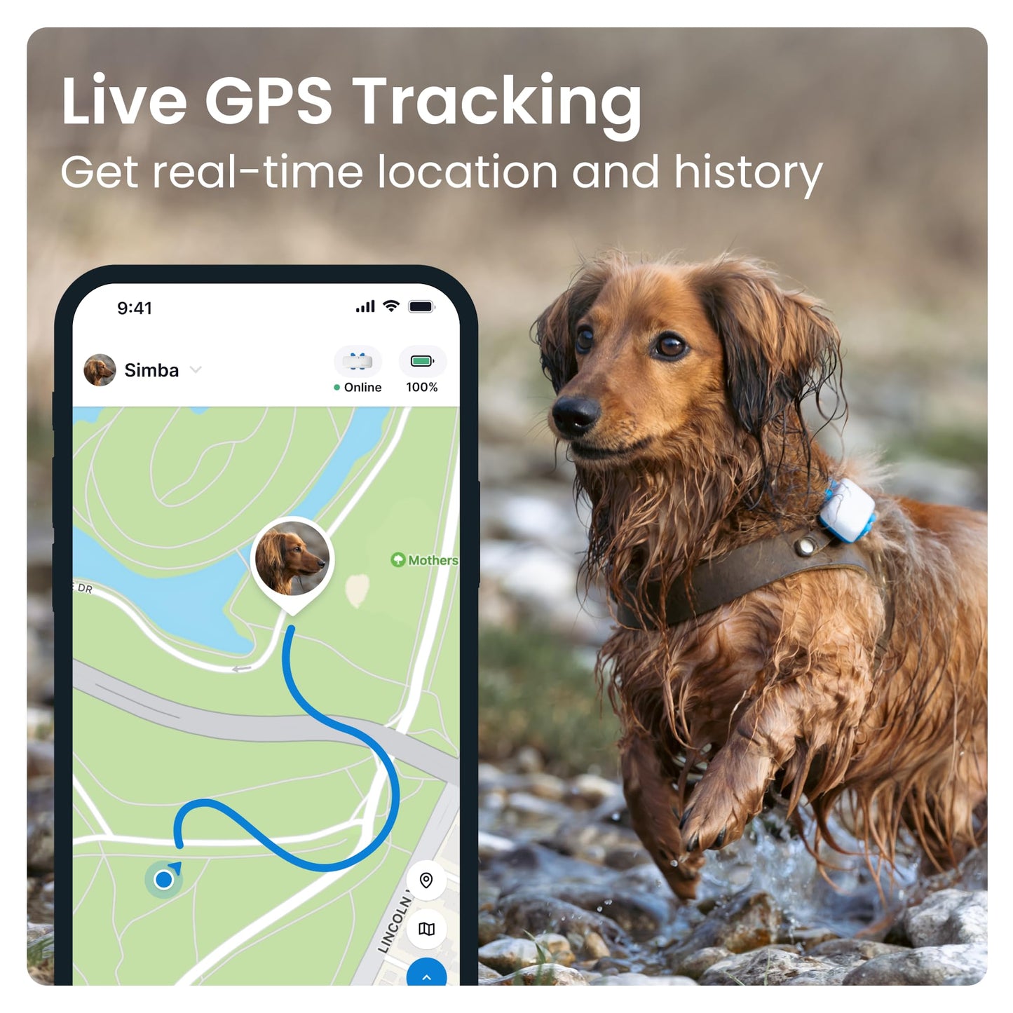 Tractive GPS Pet Tracker for Dogs - Waterproof, GPS Location & Smart Pet Activity Tracker, Unlimited Range, Works with Any Collar (White)