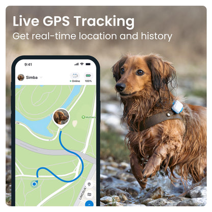 Tractive GPS Pet Tracker for Dogs - Waterproof, GPS Location & Smart Pet Activity Tracker, Unlimited Range, Works with Any Collar (White)