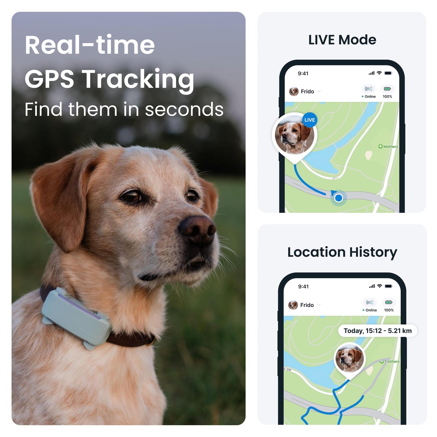 Tractive GPS Dog Tracker (2025 Release) | Real-time Pet Location Tracker | Health & Wellness Alerts | Virtual Fence for Dogs | Bark Monitoring (Mint)