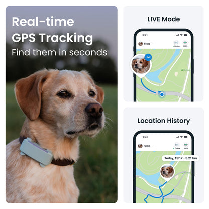 Tractive GPS Dog Tracker (2025 Release) | Real-time Pet Location Tracker | Health & Wellness Alerts | Virtual Fence for Dogs | Bark Monitoring (Mint)