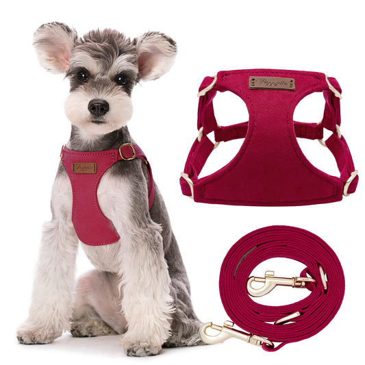 Harnais anti-traction pour petit chien avec laisse multifonction, léger, souple, réglable, anti-étouffement, anti-fuite, rouge, S