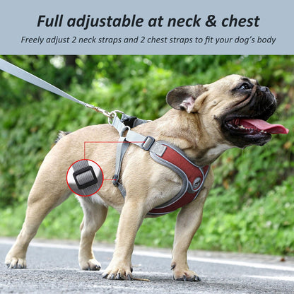 SAEGYPET Dog Harness with Leash Set, No Pull Adjustable Step in with Breathable Padded Puppy Harness for Small Medium Large Dogs Training and Running (Red, M)