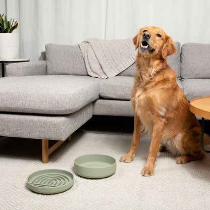 Gamelle anti-fuite pour chien - Silicone de qualité supérieure, anti-fuite, avec ventouse, anti-fuite, gamelles pour chien de taille moyenne, gamelle pour chat (gris charbon, grande gamelle)