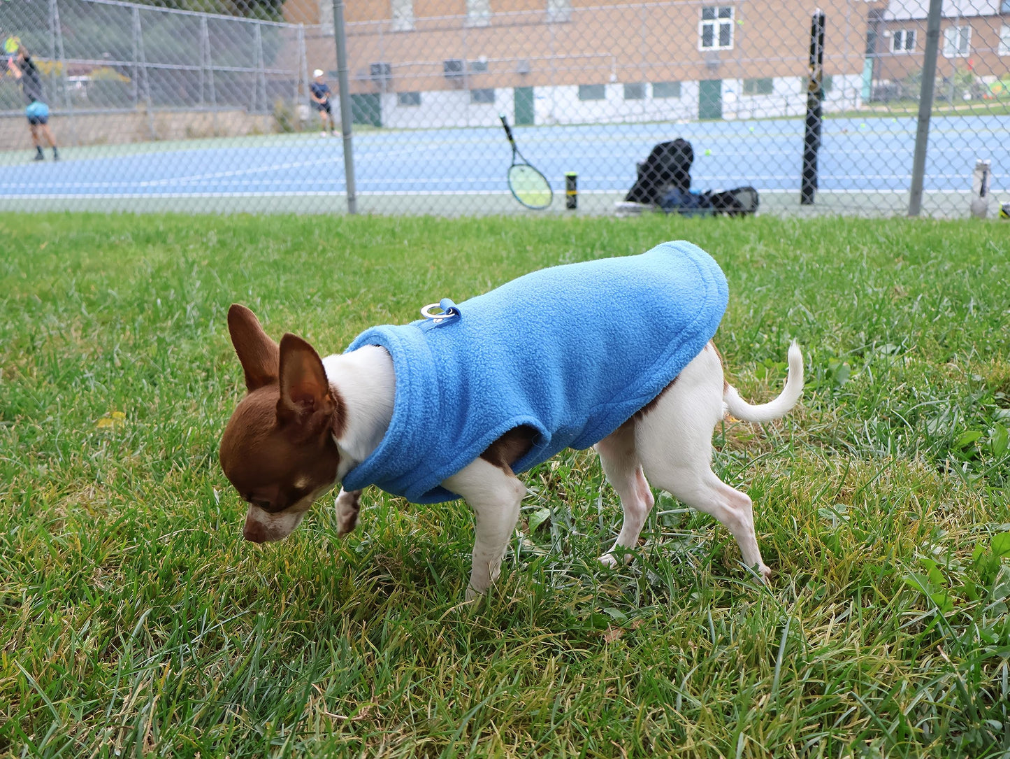 JACKO & CO - Fleece Vest Sweater with Leash Ring - Soft Lightweight Breathable for Puppies Small Medium Dogs, Kitten, Cats, Chihuahua - Warm for Fall/Autumn/Winter (Blue, L (10-16lbs))